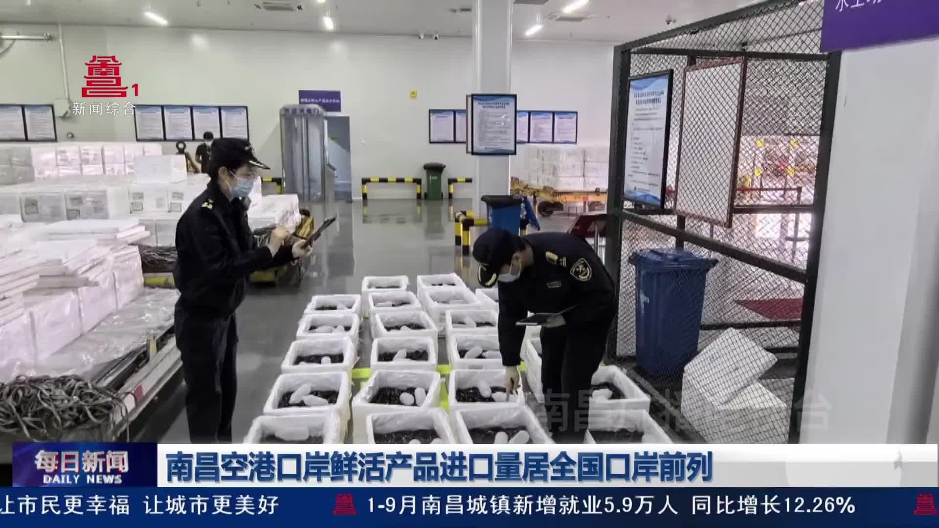 南昌空港口岸鲜活产品进口量居全国口岸前列